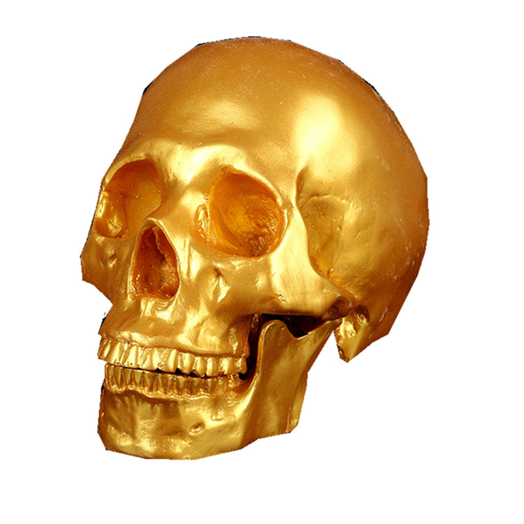 Golden medical resin skull ornament