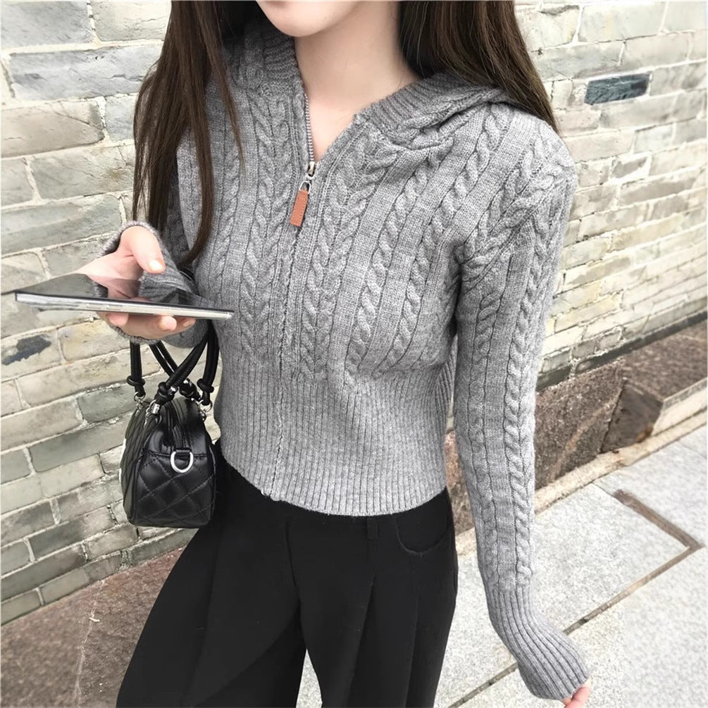 Chic Crochet Knit Cardigan with Hood and Zipper for Women